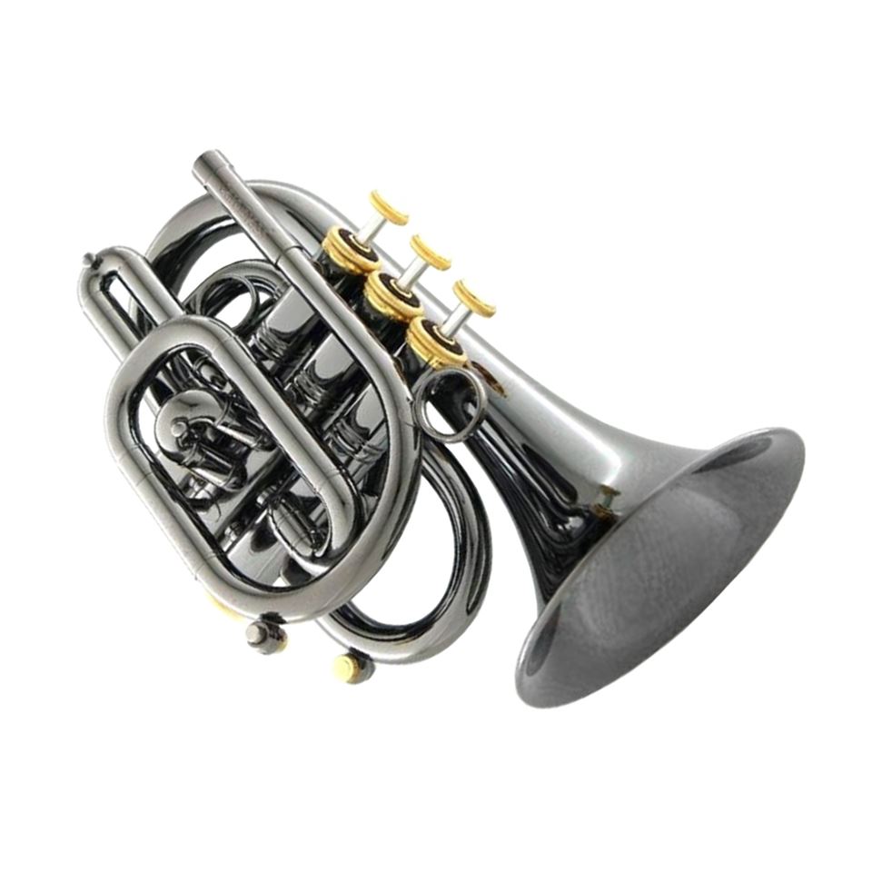 Carol Brass Bb Pocket Trumpet Blackhawk CPT3000GLSBBBG