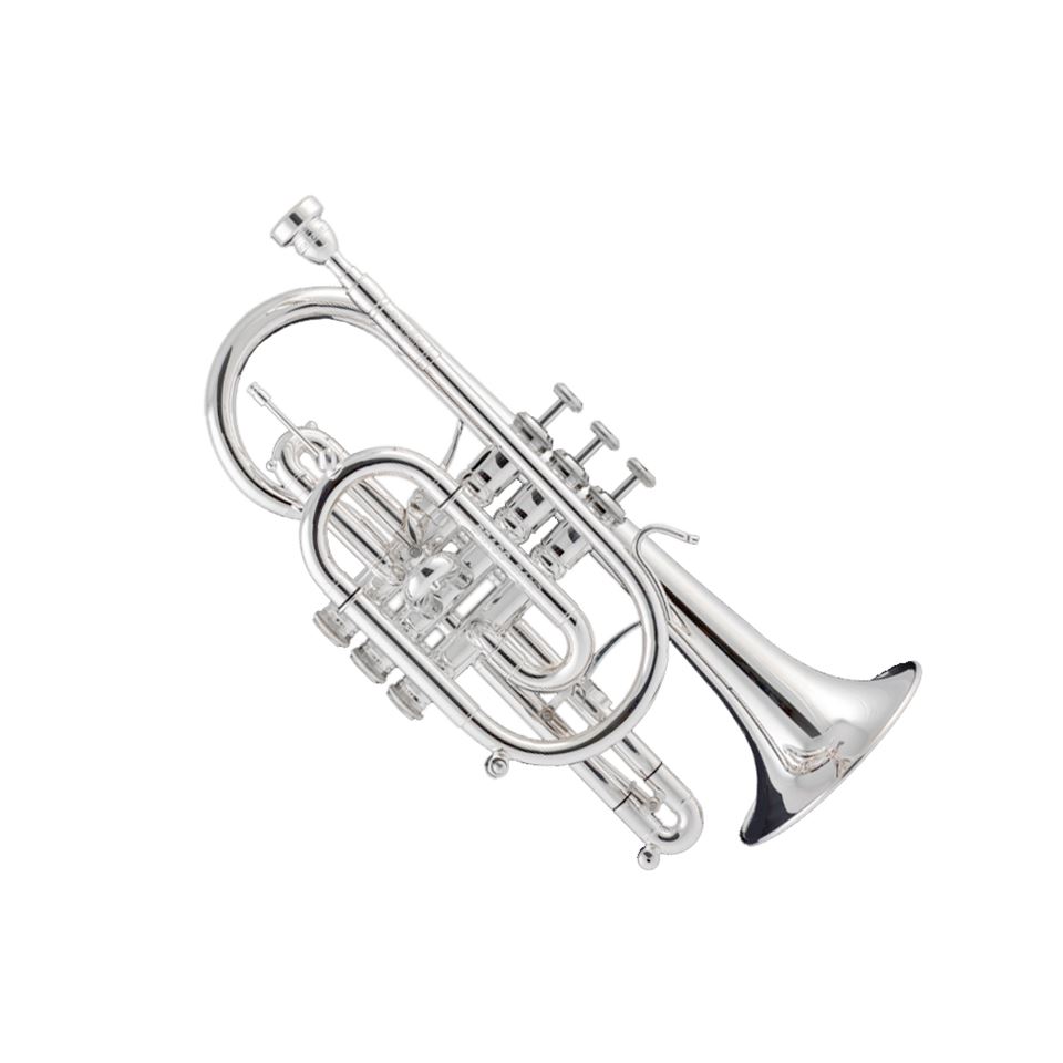 Stomvi Titan Eb Silver Plated Instruments