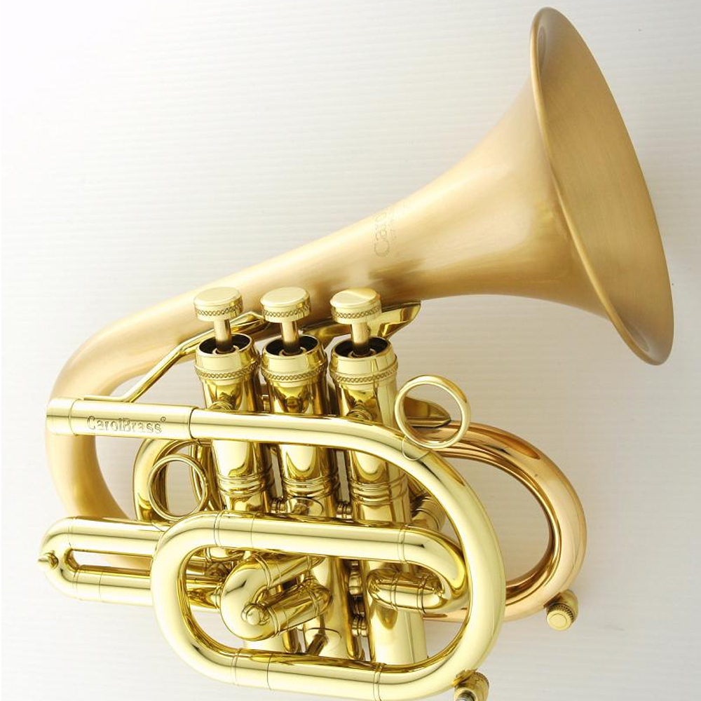 Carol Brass Dizzy B Flat Pocket Trumpet CPT-7000-GLS-BB-SLB