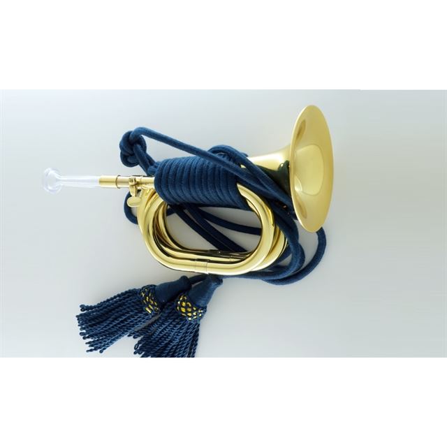 Carol Brass C Mini Bugle Gold Lacquered with Extra Leadpipe