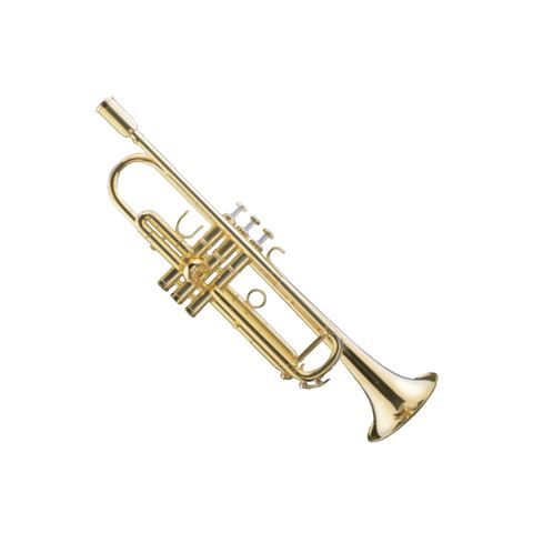 Schagerl James Morrison Meister SP Bb Trumpet - Gold Brass Bell