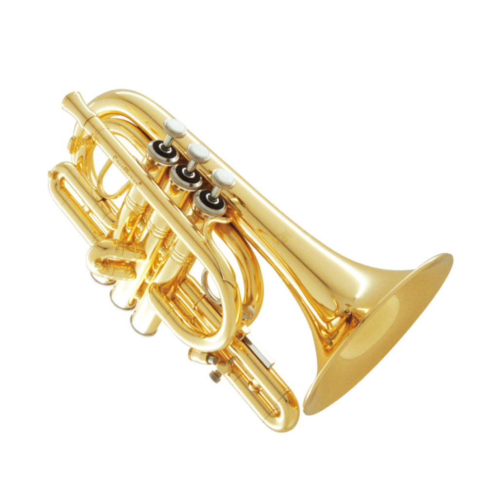 Carol Brass CPT-4000-YLS-C-S C Pocket Trumpet with Satin Finish - Trumpets  for students to pro players - Cornets and Flugelhorns - Sax & Woodwind  and Brass