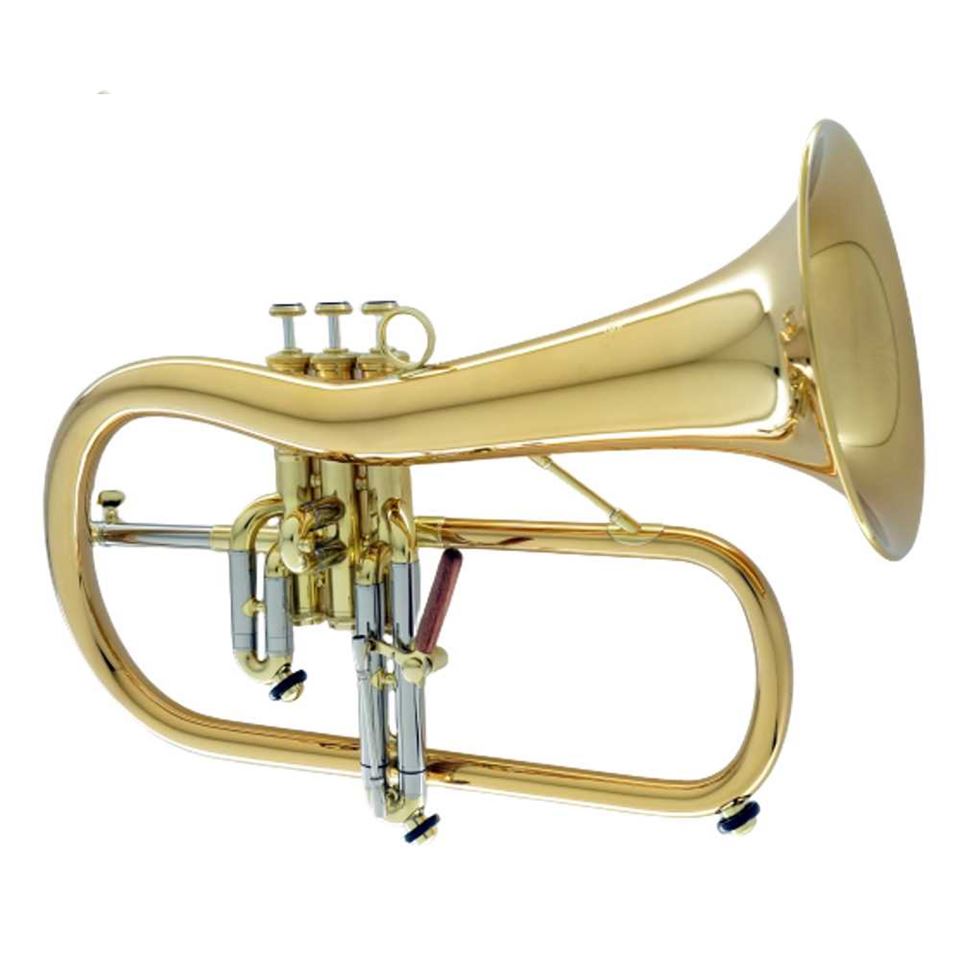 Carol Brass CFL-6200-GSS(Euro)-BBL Flugelhorn 