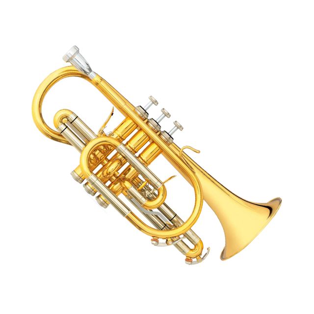 B&S Challenger II Cornet