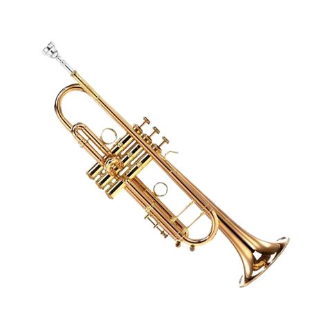 Carol Brass CTR-8880H-GST-BBL Custom Pro Trumpet