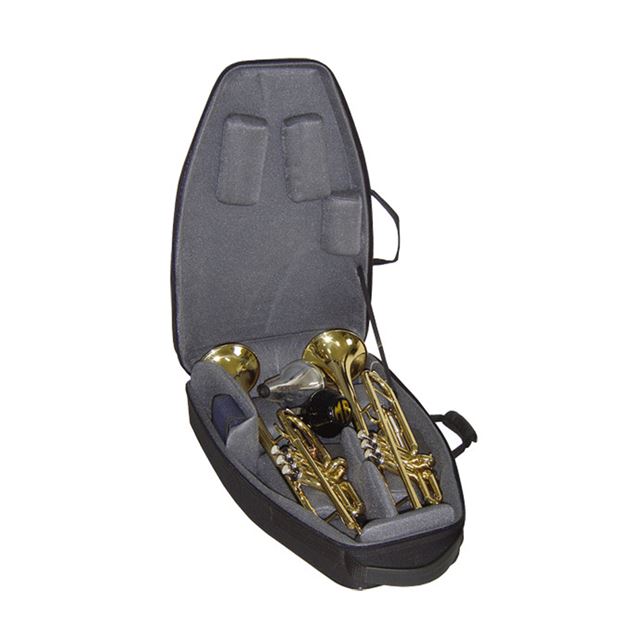 Cases and bags for one, two, or more trumepts and Flugelhorns