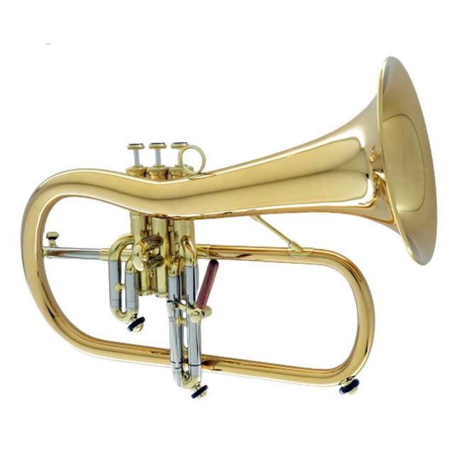 Carol Brass CFL-6200-GSS(Euro)-BBL Flugelhorn 