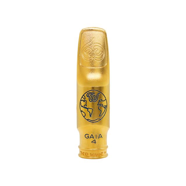 Alto Saxophone Leather Ligature & Cap Vandoren At ₹ 9900/piece | Alto Saxophone In New Delhi | ID: 23962052612
