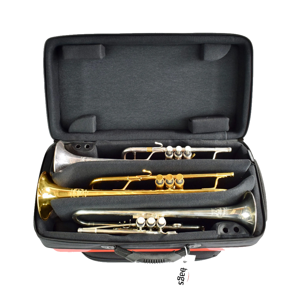 Trumpet bags online and cases