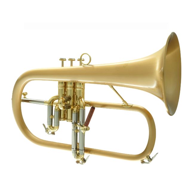 Carol Brass CFL-6200-GSS-BB-SLB Flugelhorn