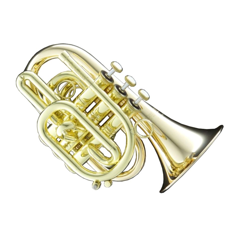 Carol Brass Pocket Trumpet CPT-3000-GLS - Trumpets for students to pro  players - Cornets and Flugelhorns - Sax & Woodwind and Brass