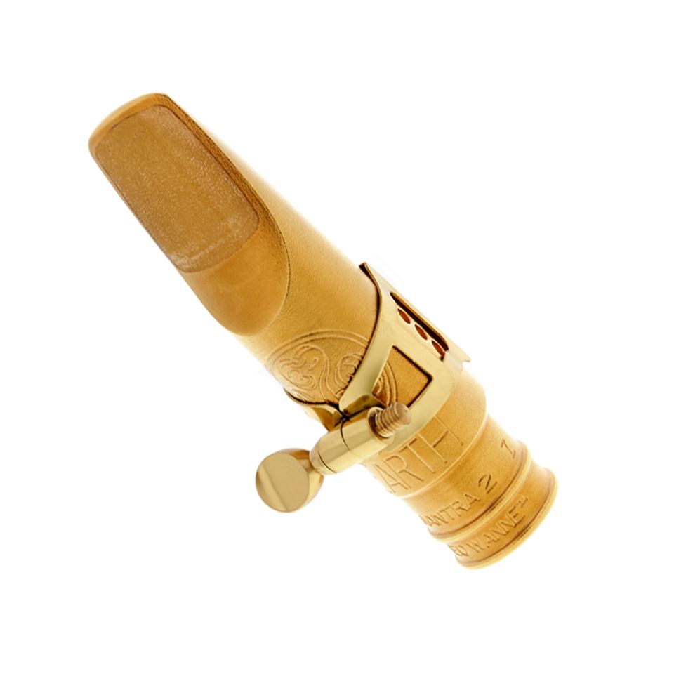 Theo Wanne Elements: Earth Alto Saxophone Mouthpiece Gold 