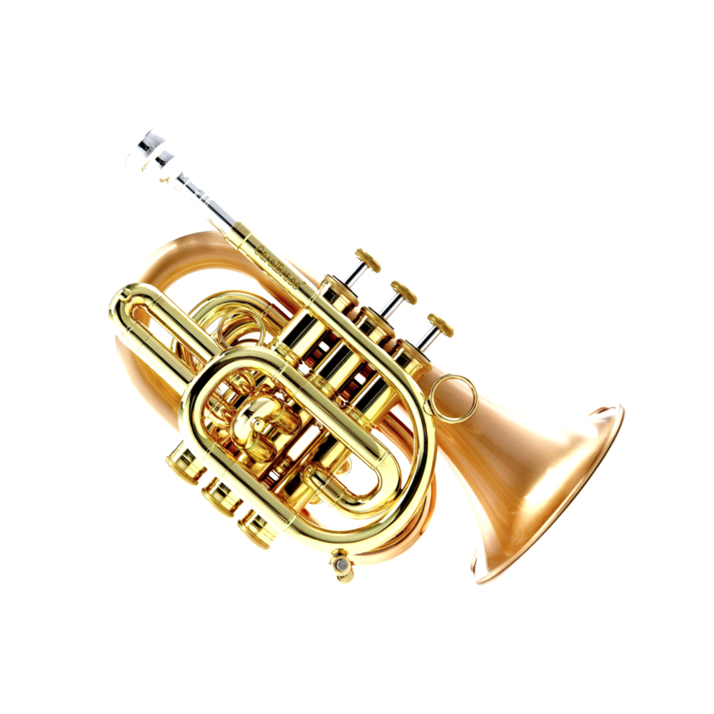 Carol Brass Blackhawk B Flat Pocket Trumpet - Trumpets for students to pro  players - Cornets and Flugelhorns - Sax & Woodwind and Brass