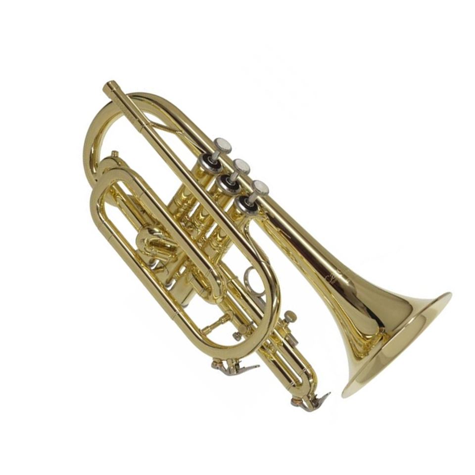 CAROL BRASS STUDENT BB CORNET CCR2000YSSBBL