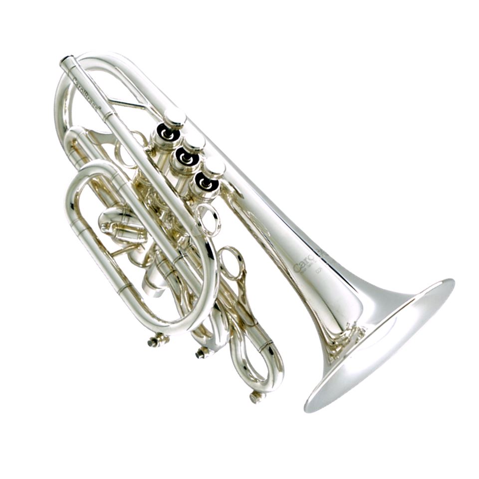 Carol Brass Professional Bb Cornet CCR7772RYSS(D)BBS