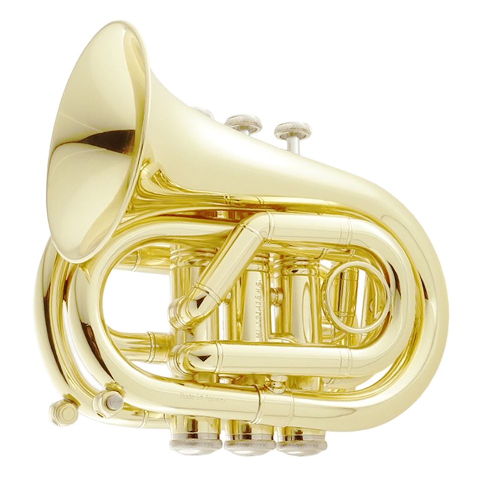 Carol Brass Bb Mini Trumpet Gold Lacquer - Trumpets for students to pro  players - Cornets and Flugelhorns - Sax & Woodwind and Brass