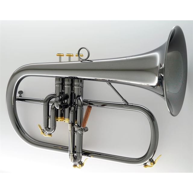 Carol Brass CFL-6200-GSS-BBBG Flugelhorn 