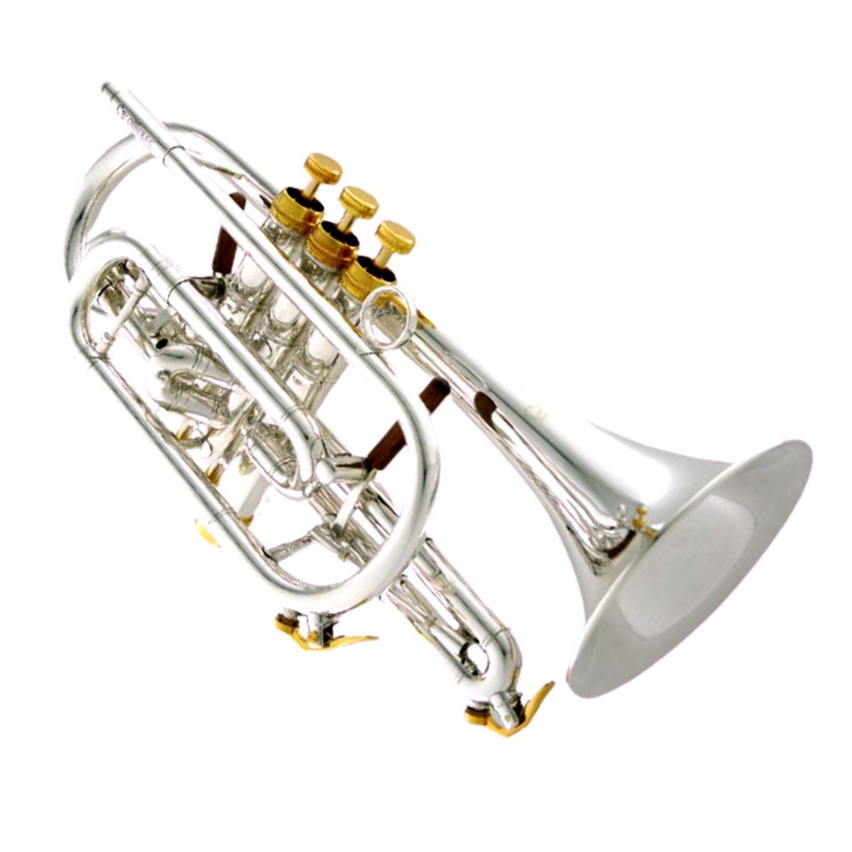 Carol Brass Professional Bb Cornet CCR6882TGSSBBGG  