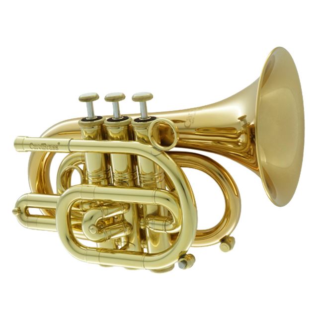 Carol Brass Bb Pocket Trumpet CPT3000GLSBBL Lacquer