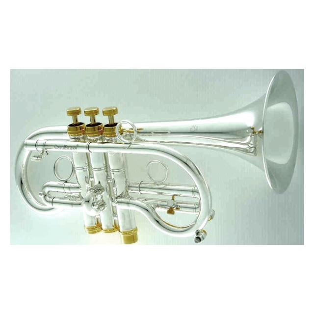 Carol Brass E Flat Cornet Silver Plated CCR7775YSSEBSG