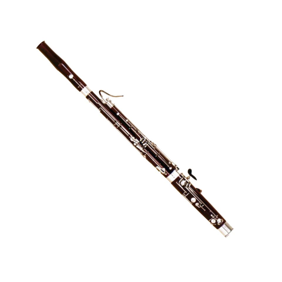 Bassoon cost new arrivals