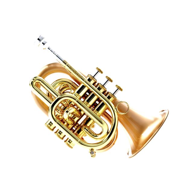 Carol Brass Satin Finish Bb Pocket Trumpet CPT3000GLSSLB