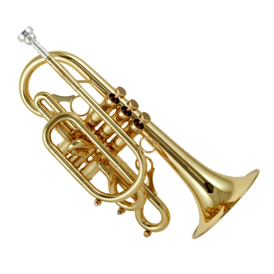 Carol Brass Professional Bb Cornet CCR7772RRLMBBL