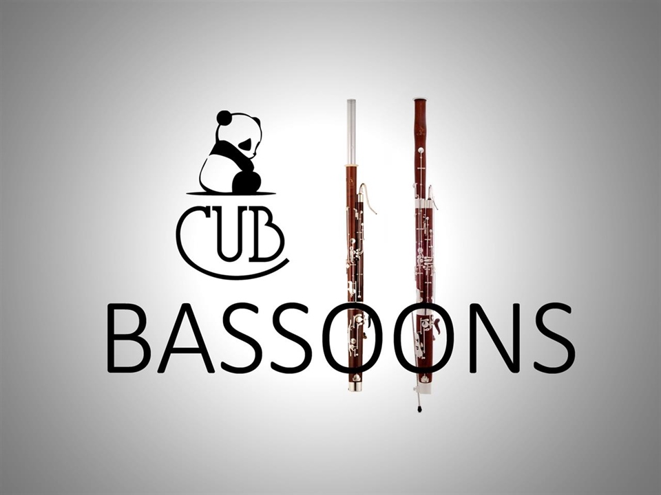 Cub Bassoons - Affordability without compromise